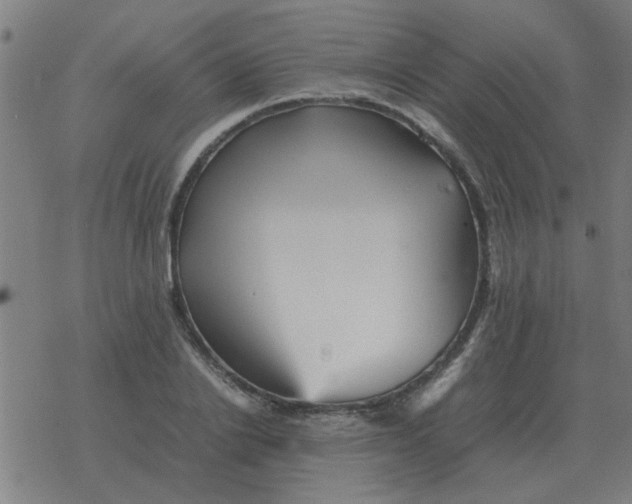 X0000077390838200611101752