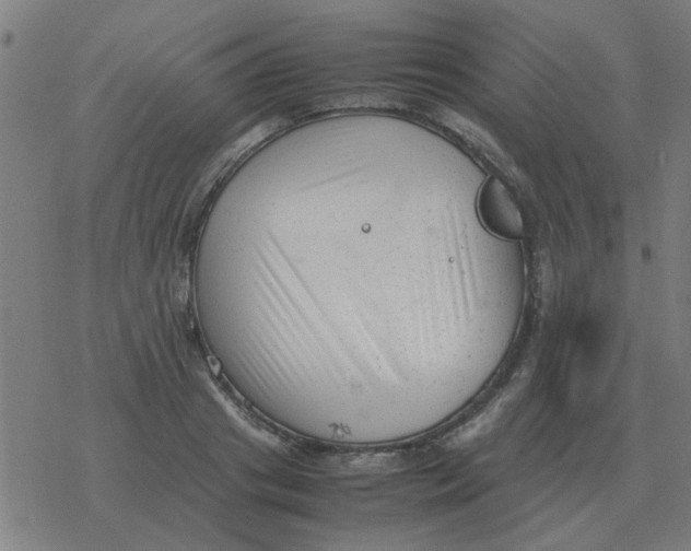 X0000077390841200611101752