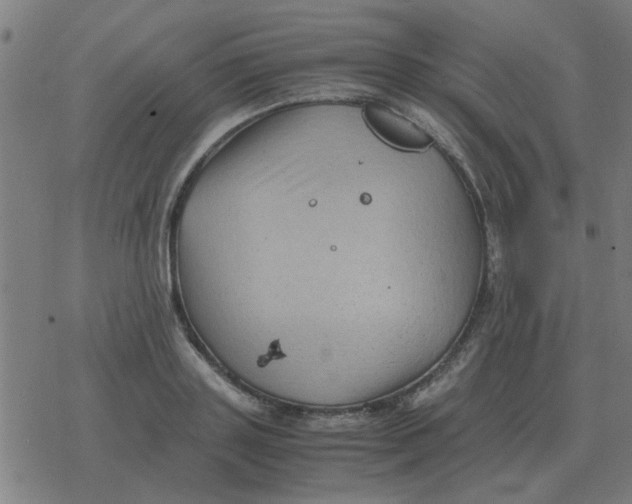 X0000077390843200611101752