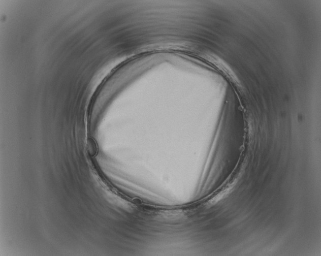 X0000077390844200611101752