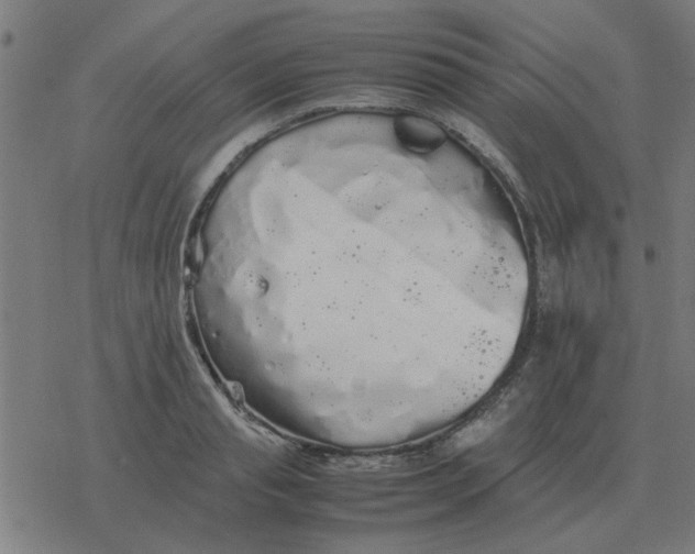 X0000077390845200611101752