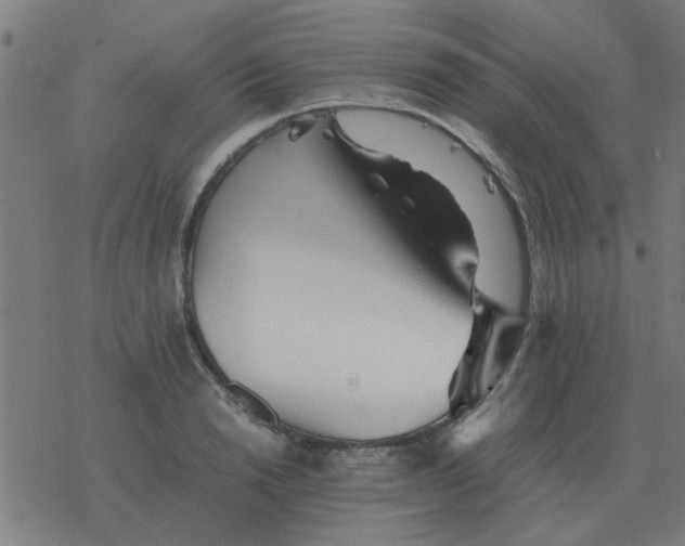 X0000077390846200611101752