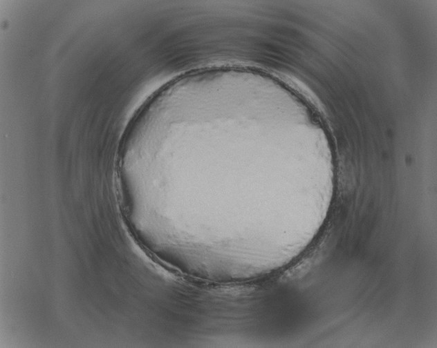 X0000077390847200611101752