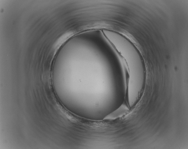 X0000077390850200611101752