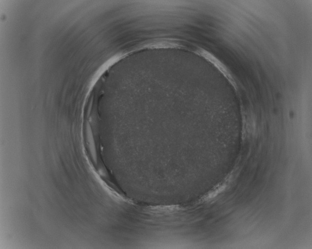 X0000077390853200611101752