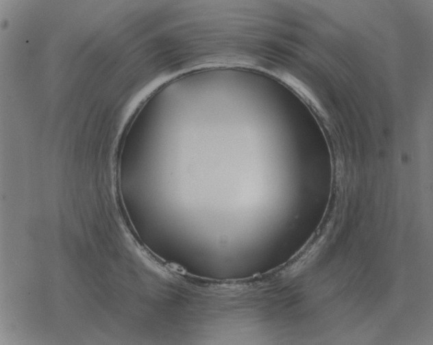 X0000077390854200611101752