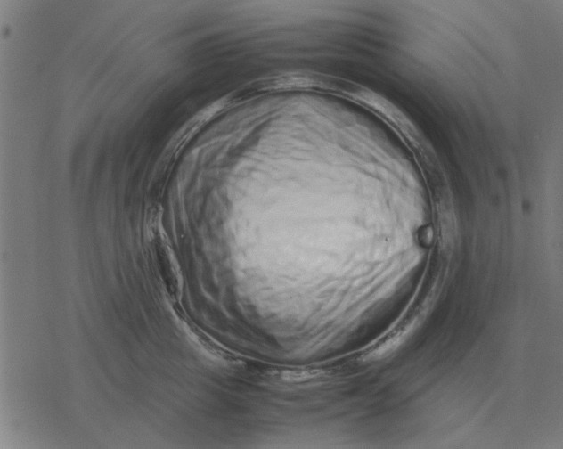 X0000077390857200611101753