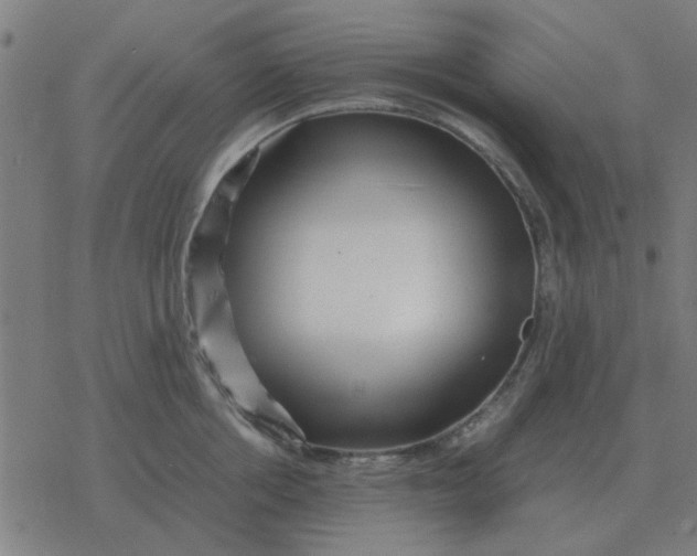 X0000077390858200611101753