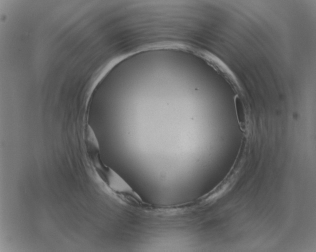 X0000077390860200611101753