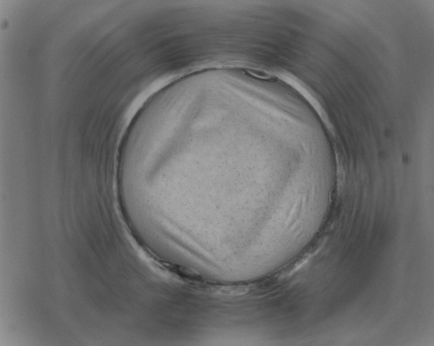 X0000077390861200611101753