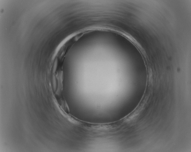 X0000077390862200611101753