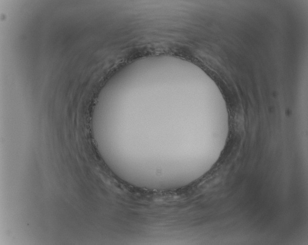 X0000077390865200611101752