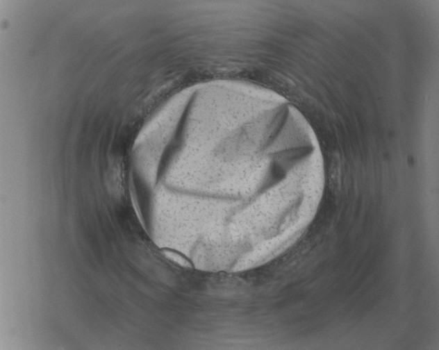 X0000077390866200611101752