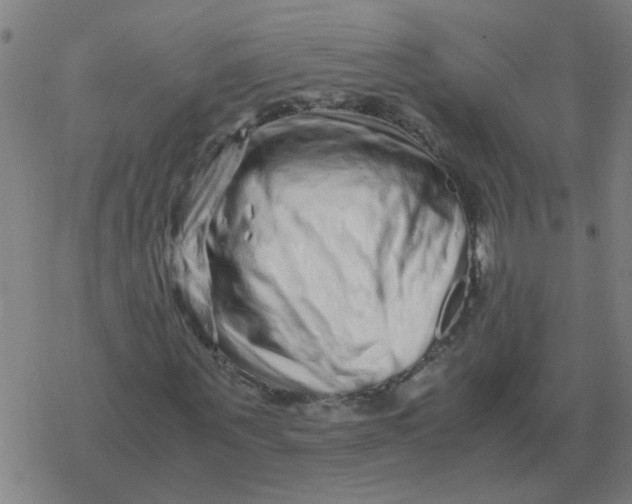 X0000077390867200611101752