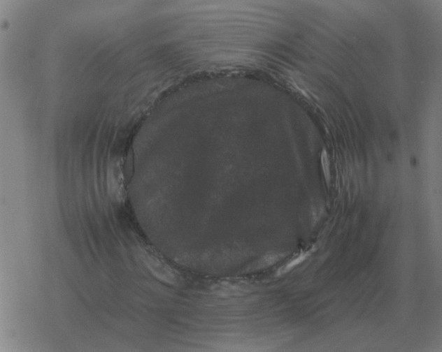 X0000077390868200611101752