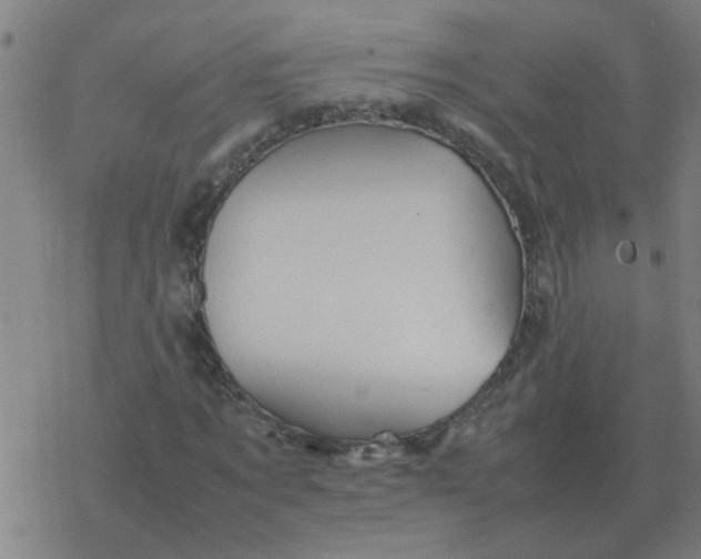 X0000077390869200611101752