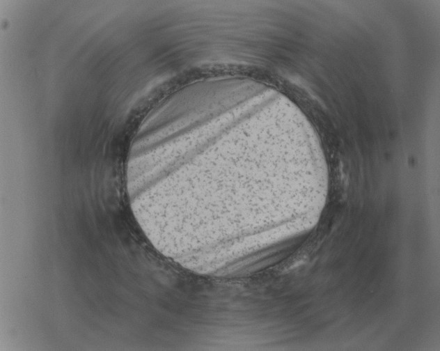 X0000077390870200611101752