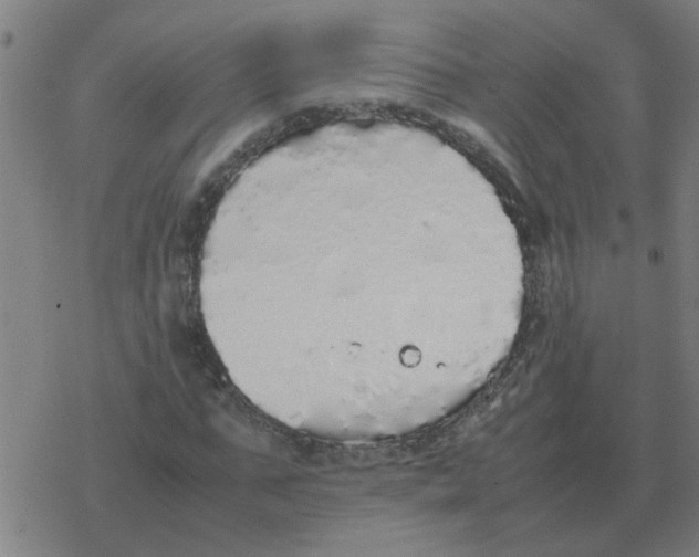 X0000077390871200611101752