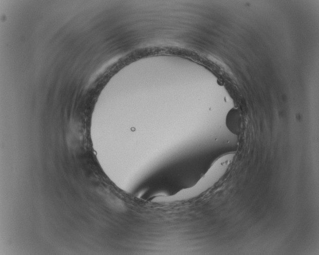 X0000077390872200611101752