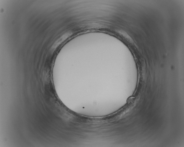 X0000077390873200611101752