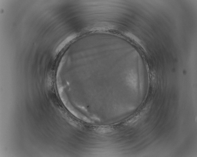 X0000077390874200611101752