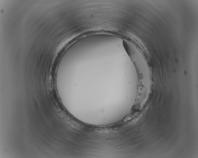 X0000077390876200611101752