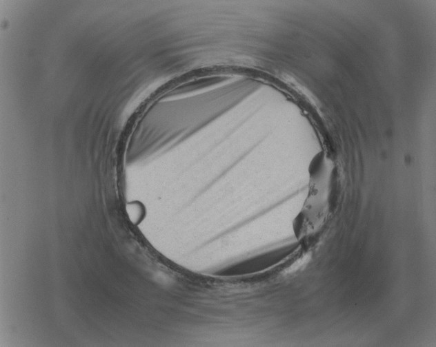 X0000077390877200611101752