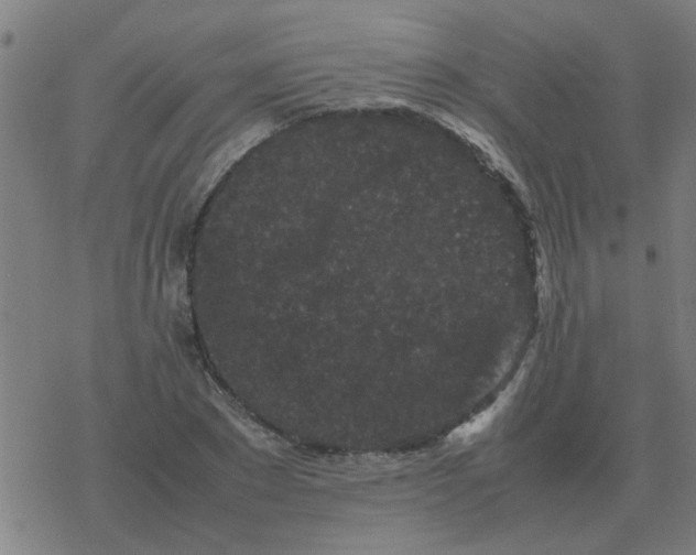 X0000077390881200611101752