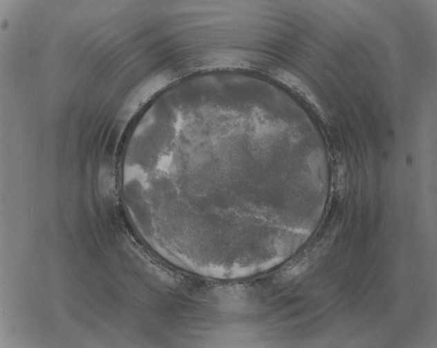 X0000077390882200611101752