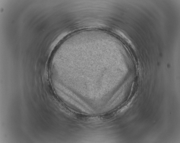 X0000077390883200611101752