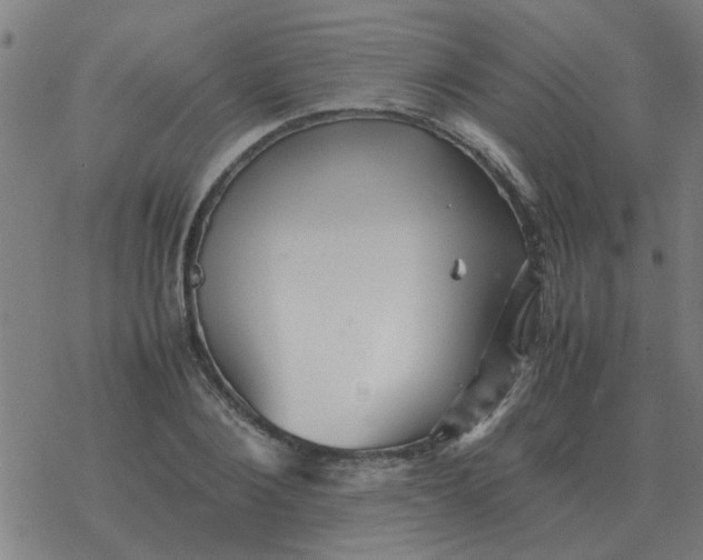 X0000077390884200611101752