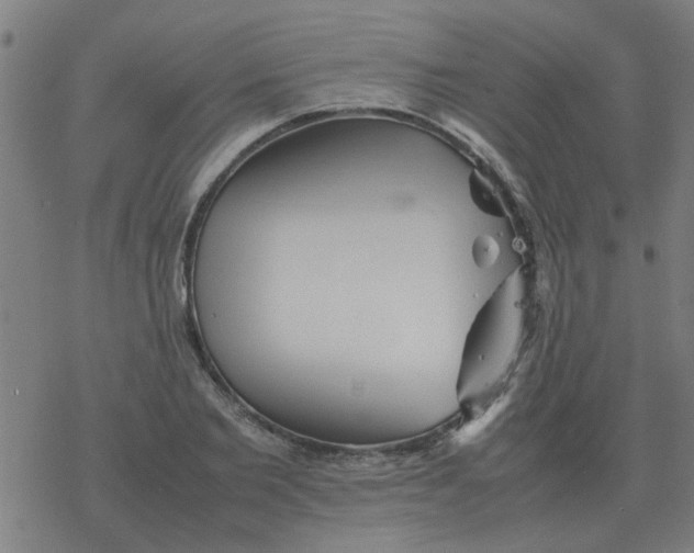 X0000077390885200611101752