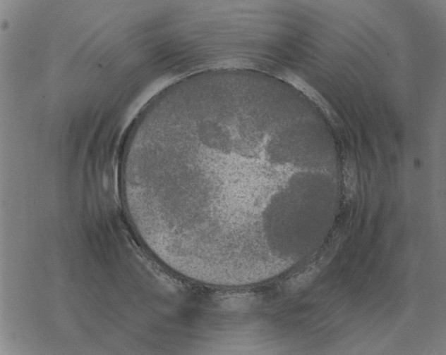 X0000077390886200611101752