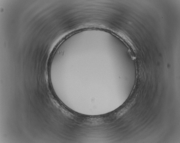 X0000077390888200611101751