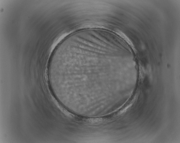 X0000077390893200611101751