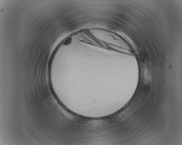 X0000077390894200611101751