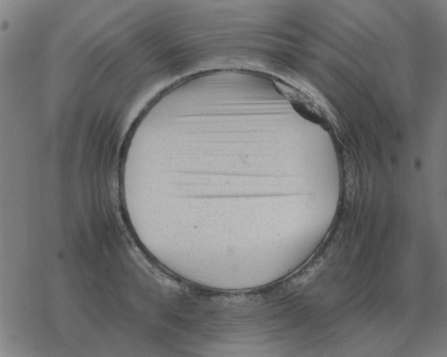 X0000077390896200611101751