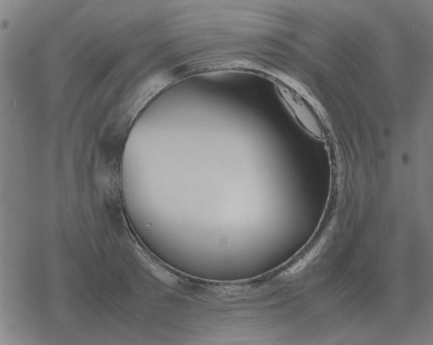 X0000077390897200611101751