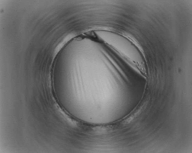 X0000077390898200611101751