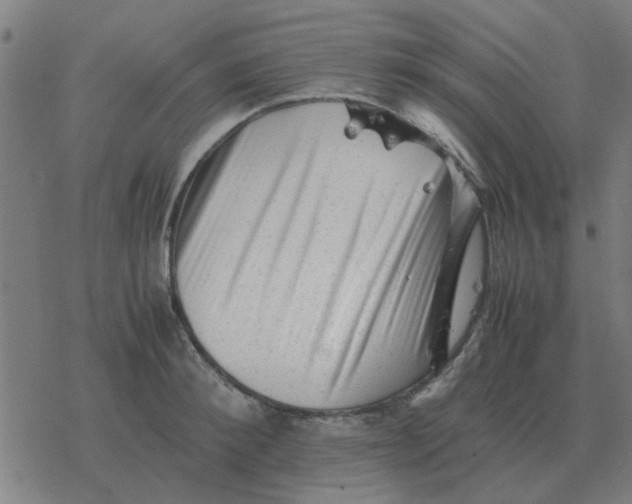 X0000077390900200611101751