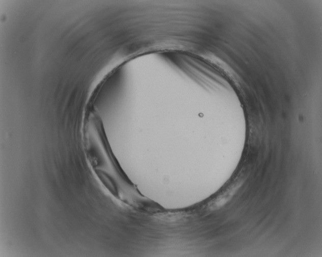 X0000077390902200611101751