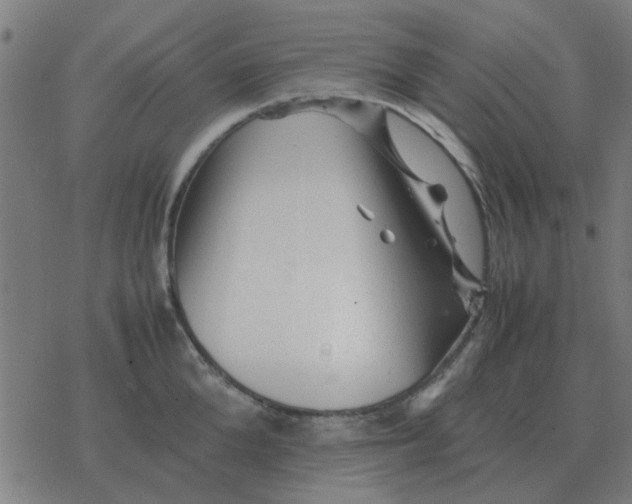 X0000077390904200611101751