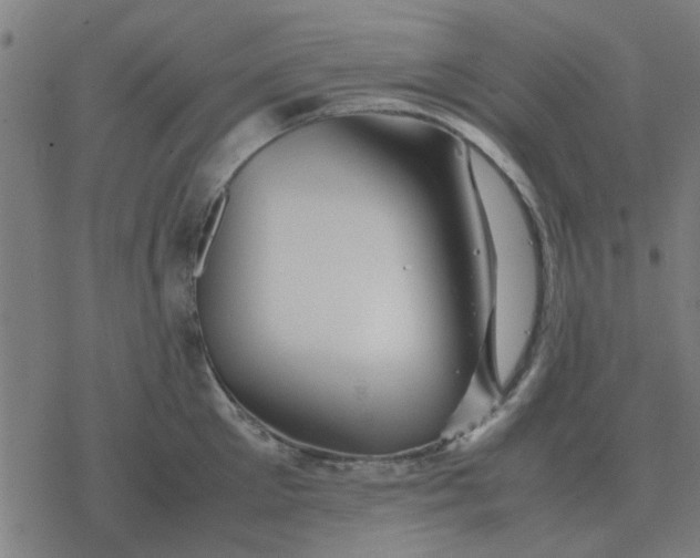 X0000077390905200611101751