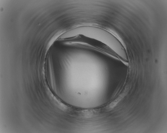 X0000077390906200611101751