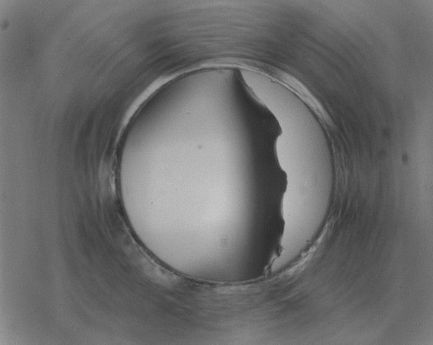 X0000077390908200611101751