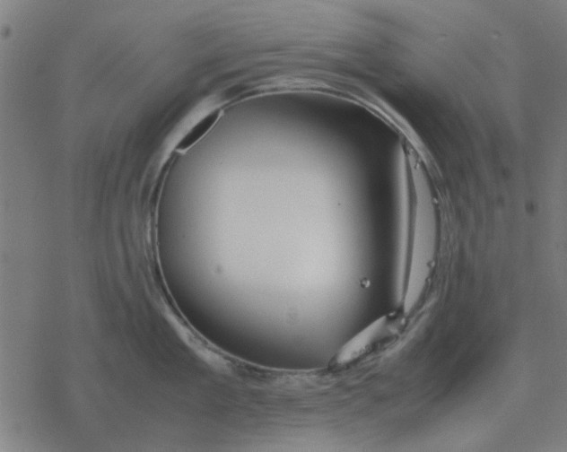 X0000077390909200611101751