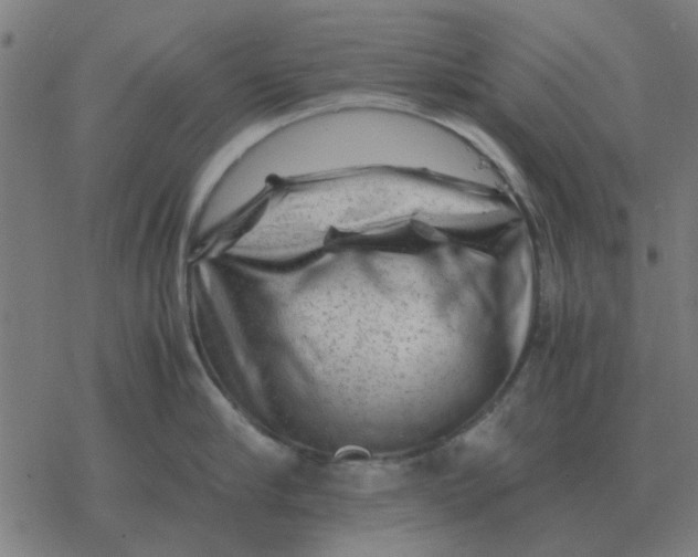 X0000077390910200611101751