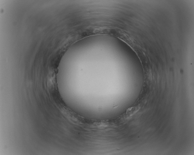 X0000077390914200611101750