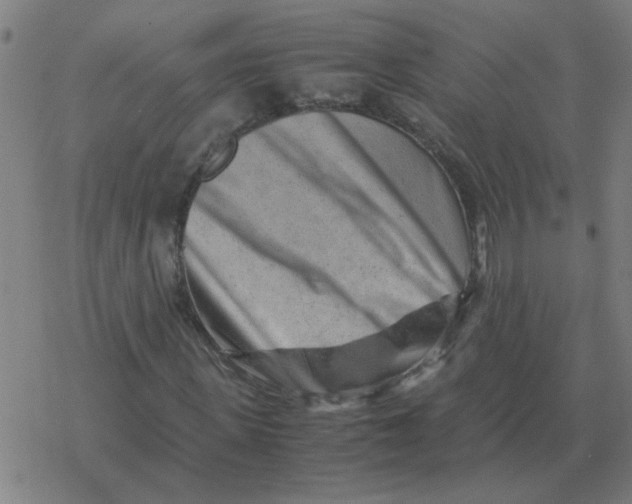 X0000077390915200611101750