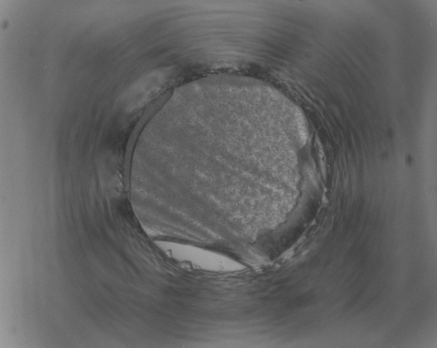 X0000077390916200611101750